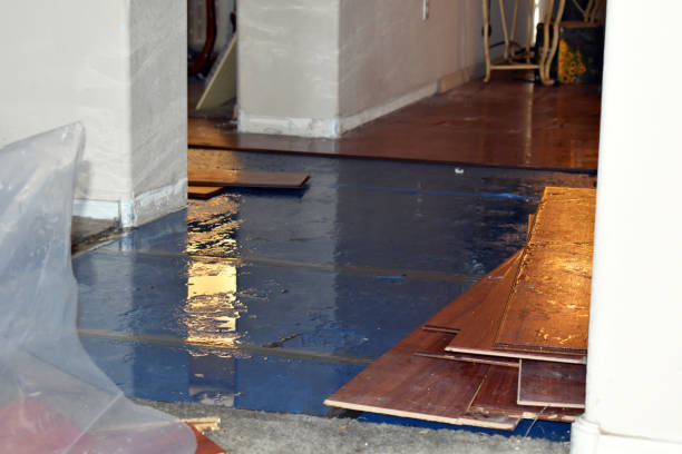 Professional Water Damage Restoration technician working in Hampton, IL